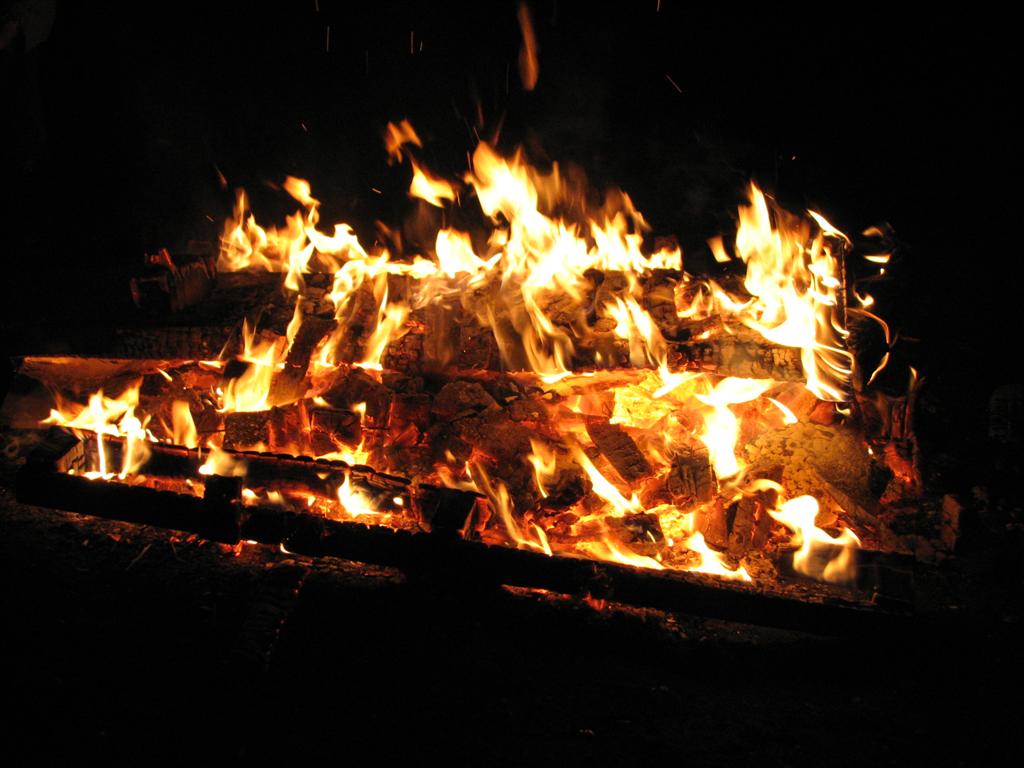 2008_mateijsen (158).JPG